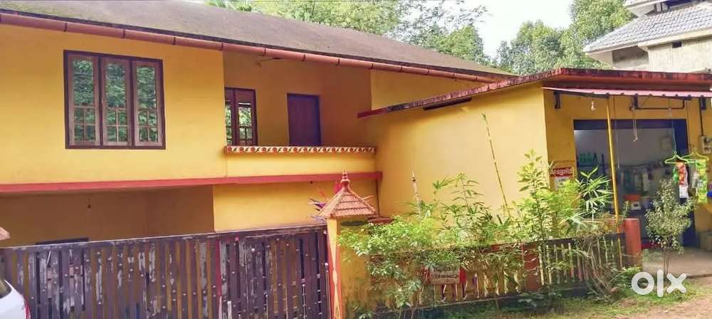 HOUSE FOR SALE IN CHRUMMOODU PARAYANKULAM