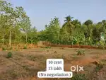 10 cent plot for sale