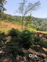170 Acer property for sale