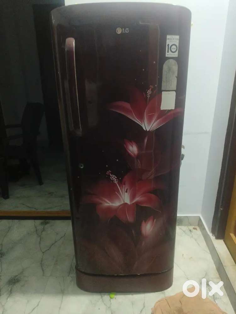 Lg single door
