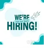 WE ARE HIRING FOR TEAM LEADER