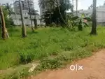6 cent residential plot for sale SN jn Tripunithura.