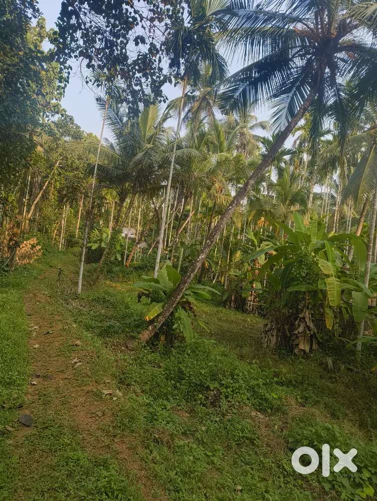 House and 30 cent land for sale