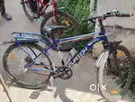 Zureech cycle