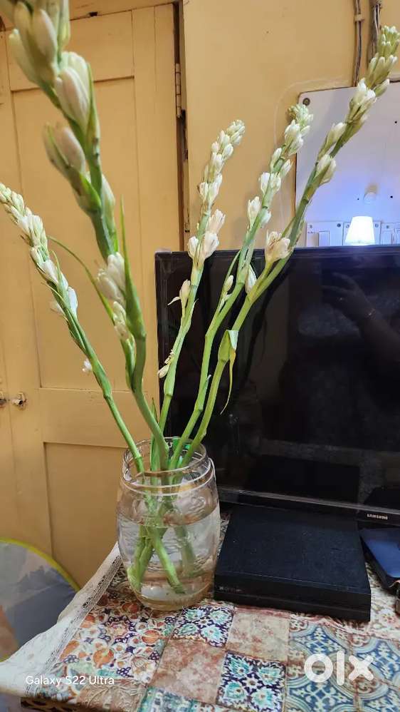 Ghar ke kaam ke liye maid chaiye, khana banana ata ho ghar ke kaam