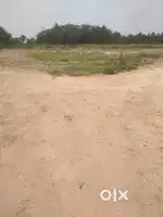 Residential land