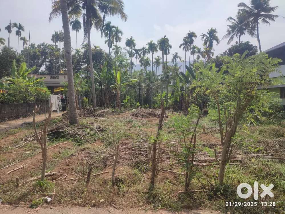 13.26 cent land for selling