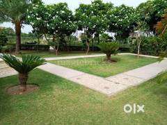 Sco Site For Sale in DLF Hyde Park New Chandigarh.