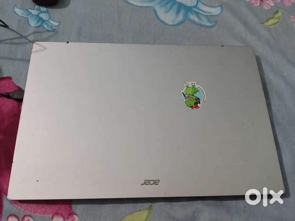 Acer extensa 15