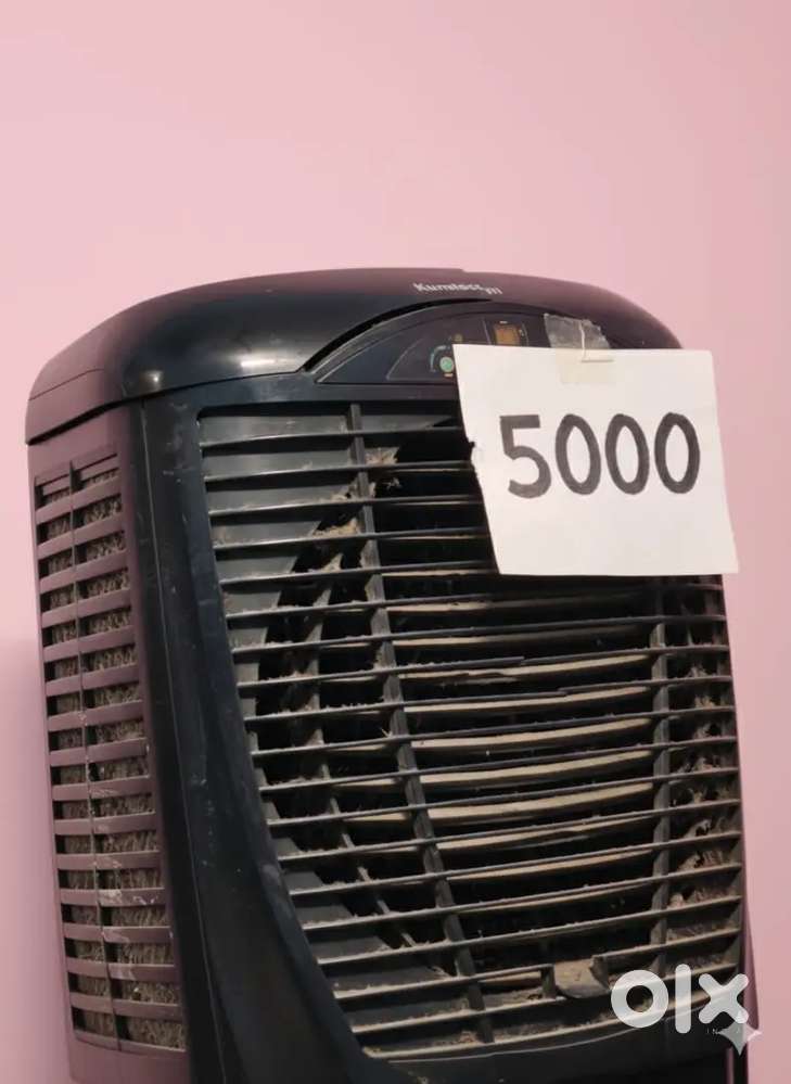 Cooler 75L
