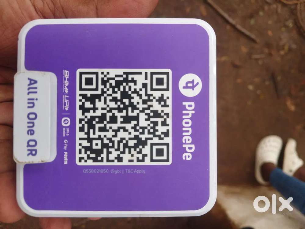 Phonepe business development executive