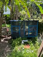 Hen rack(kozhikkood)