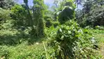 14.5 cents  residential or commercial plot for sale at Puthiyakavu.