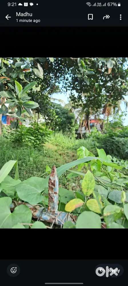 14 cents try land near pottayil