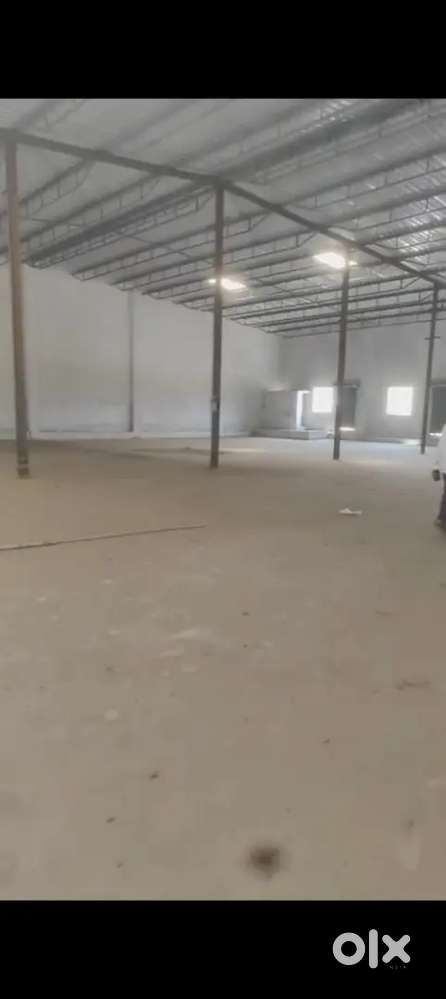 Gala for sell at kaman