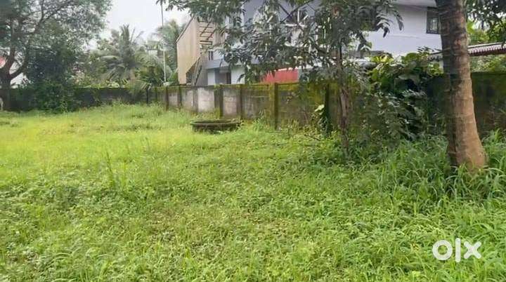 11Cents of Residential Land Aluva.
