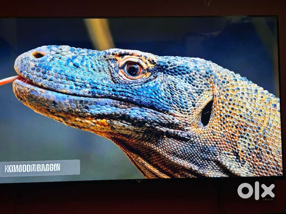 9 monthsold Sony Bravia 3 4K UHD, HDR, Dolby Vision TV