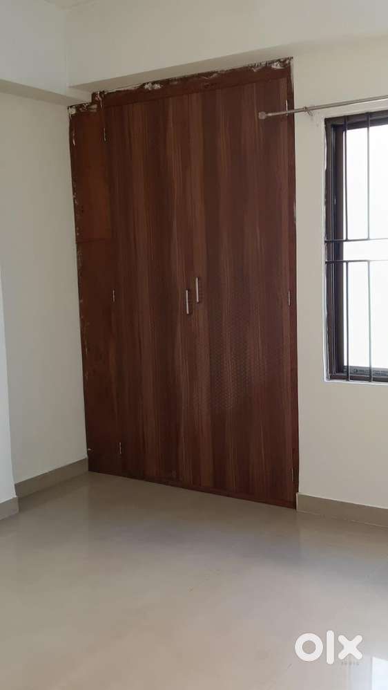 Need a gentle female roommate