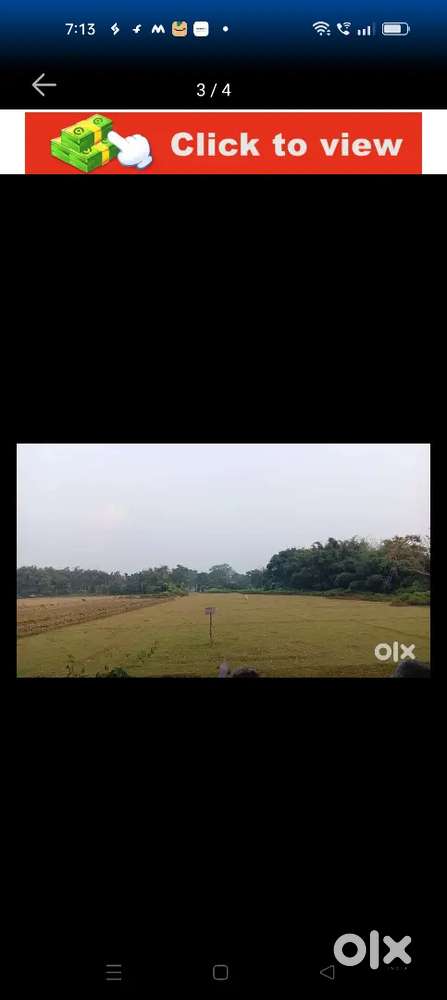 2 bigha ase akebare sale krim