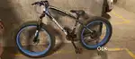 Appgrow fat tire cycle