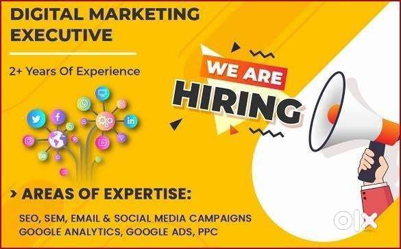 Wanted digital marketing expert