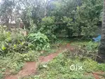12 cent Land for sale near chelora