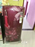L G fridge