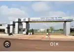 IIIT Opposite