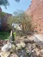 Jis kisi bhai bhen ko lena ho photo me ek qr code hai use scan hai