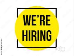 CCTV Technician , Ernakulam