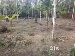 15 സെൻ്റ് ഹൗസ് പ്ലോട്ട് വില്പനയ്ക്ക്