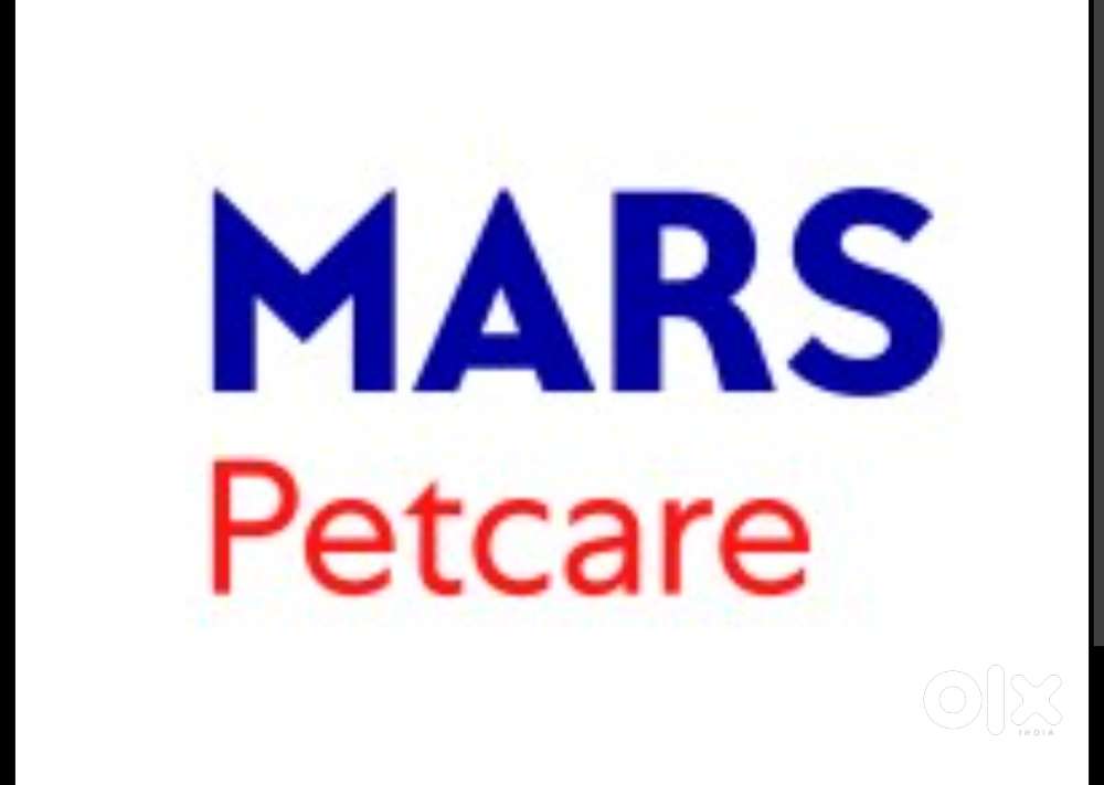 Sales Executive for FMCG Company