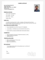 Accountant or any type of job
