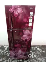 Less used double door
Fridges shop