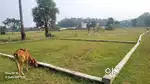 Plots for sell