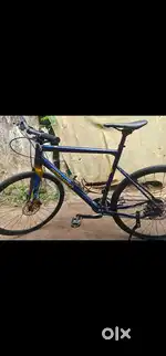 Bergamont cycle