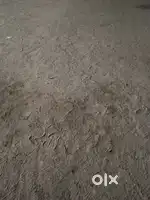 Clear property