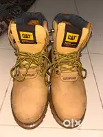 Cat safety shoes