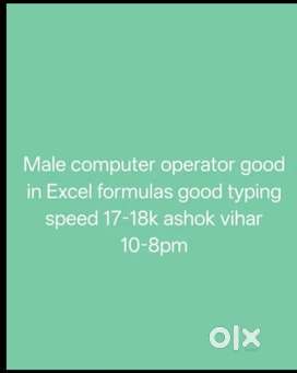 Computer operator with good excel knowledge