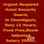 Security Jobs chandigarh 28