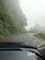 Any time professional driver available