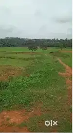 10 Acre General Property for Sale – Near Ramanagara