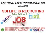 Development Manager
