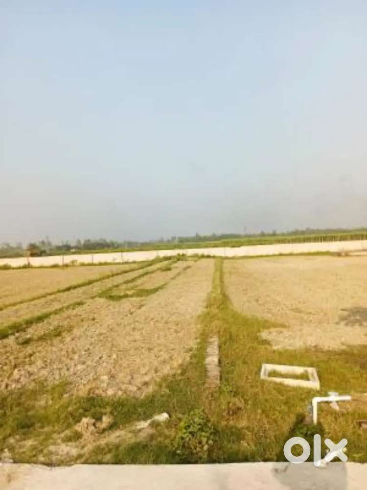 5 bighe Jameen khride Garhmukteshwer me