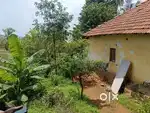 5 cents river view land with tiled house in jeppina Muger Mangalore