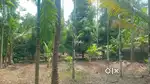 Angamaly Pulyanam 4 km Bus route 150 metres 5,6,8,10 CENT PLOT