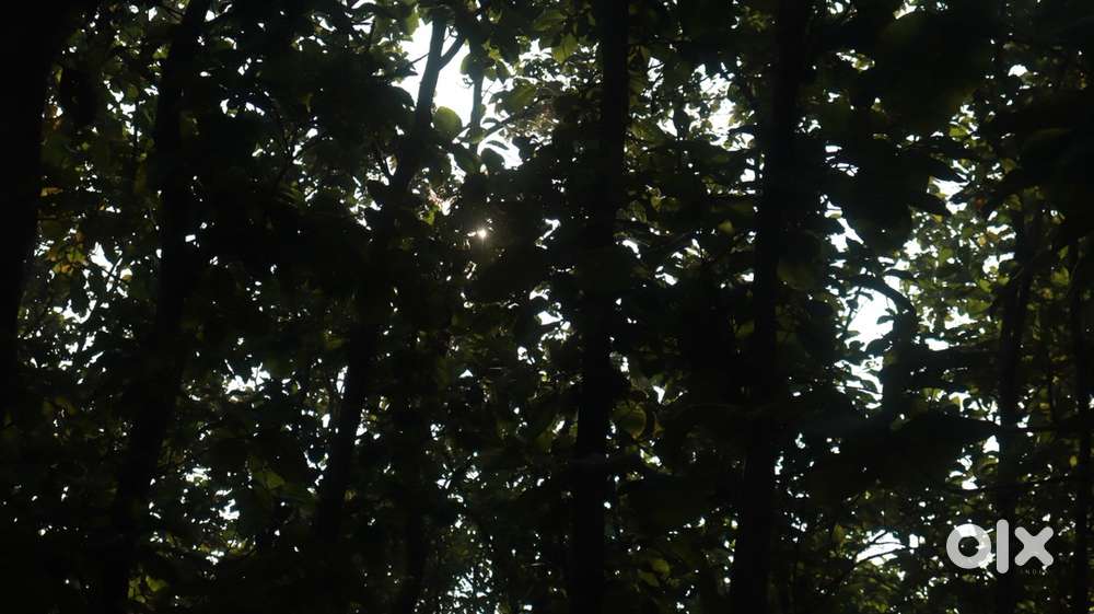 Sector7 new Moradabad