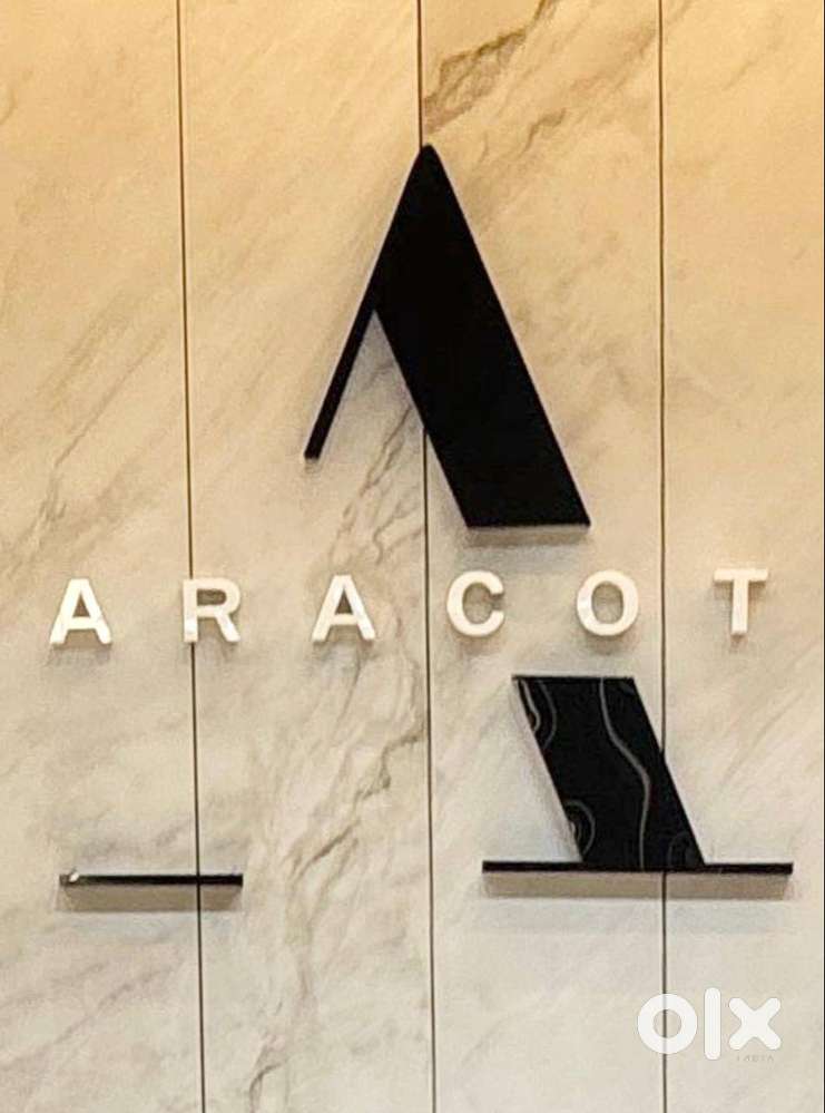 Marketing Executive