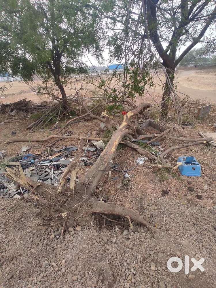 Our own plot for sale