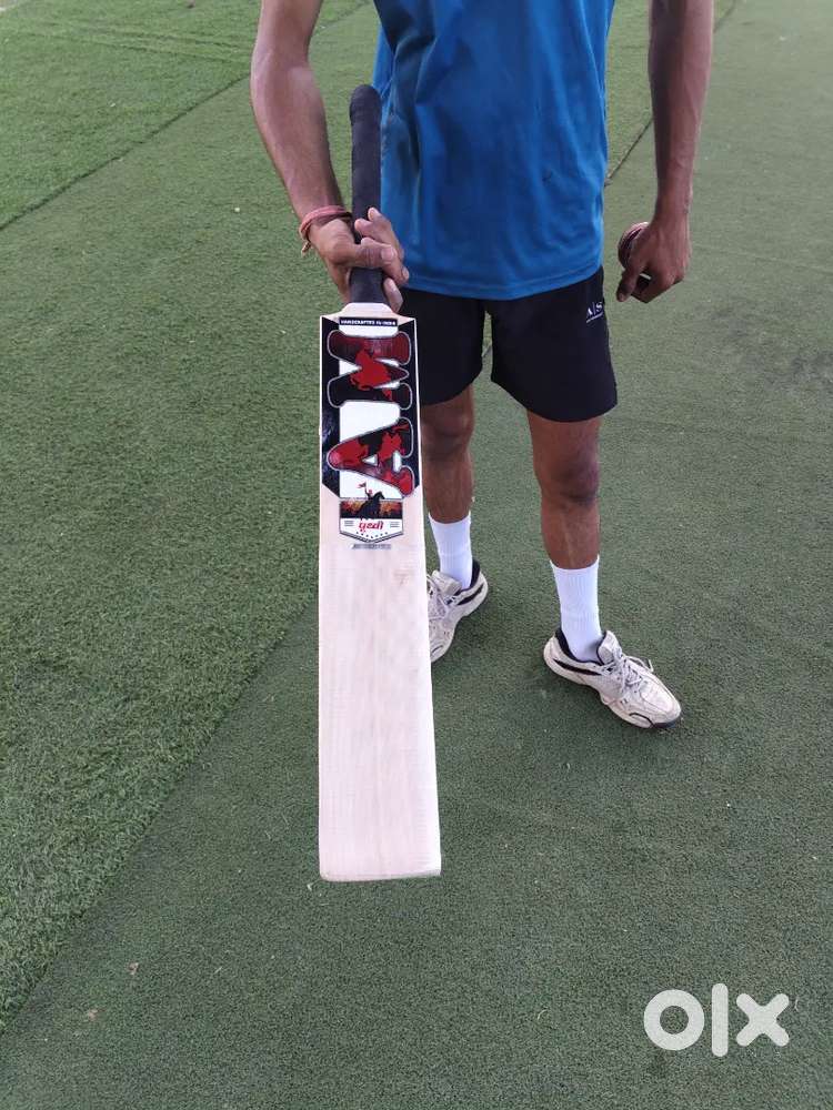 AM English willow bat